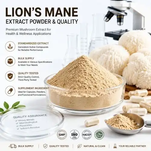 Lion’s Mane vs Other Functional Mushroom Extracts